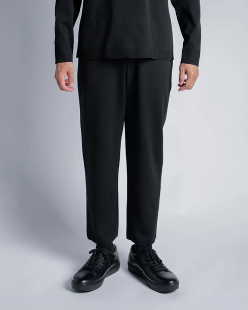 ultimex washable ankle knit pants